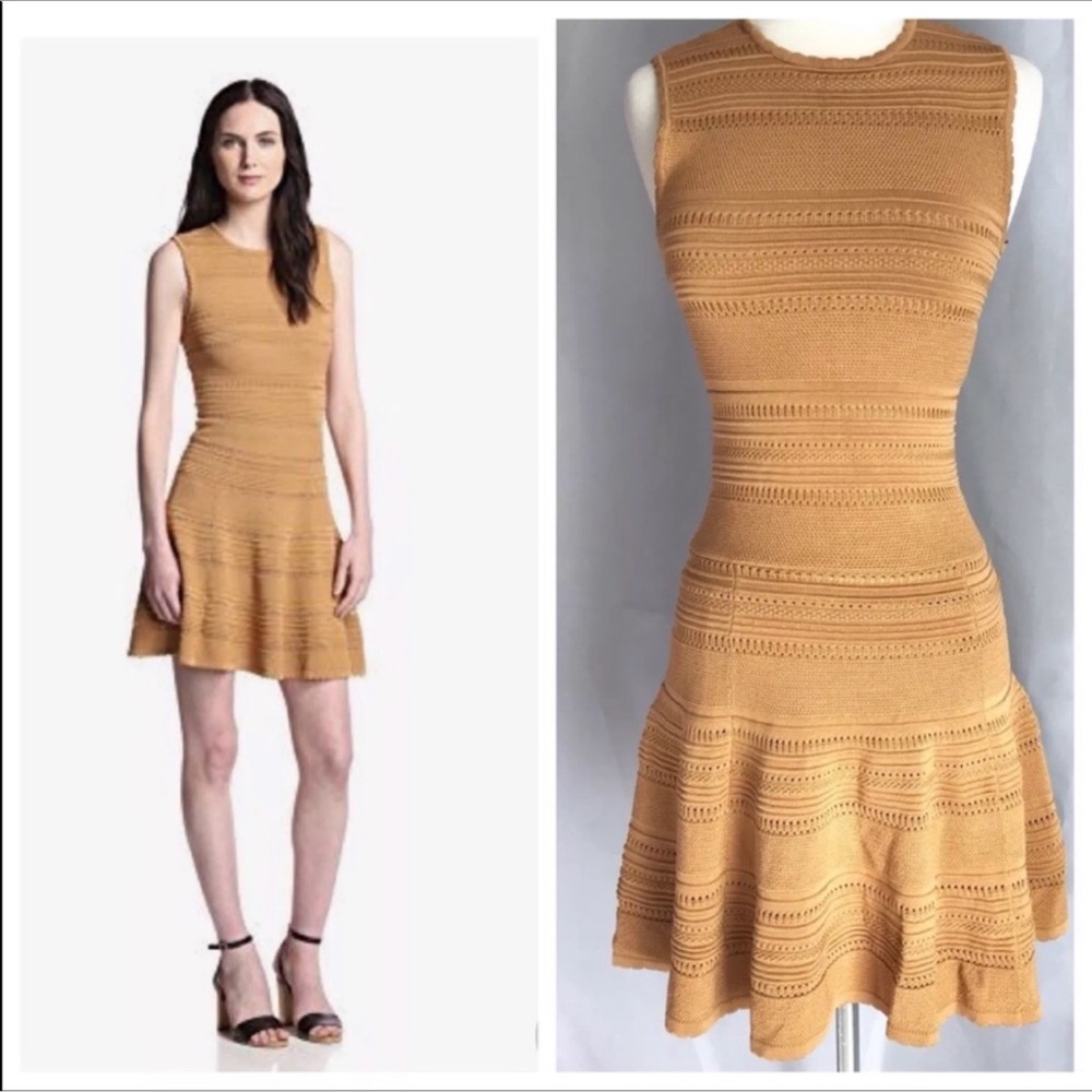 Torn by Ronny Kobo Isadora Ponte Fit & Flare Knit Dress S